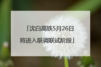 沈白高铁5月26日将进入联调联试阶段