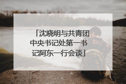 沈晓明与共青团中央书记处第一书记阿东一行会谈