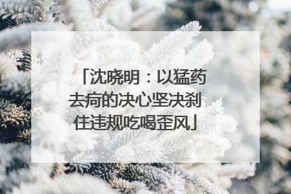 沈晓明：以猛药去疴的决心坚决刹住违规吃喝歪风