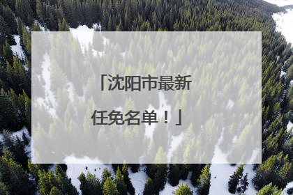 沈阳市最新任免名单！