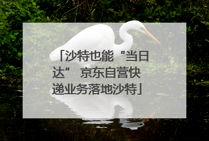 沙特也能“当日达” 京东自营快递业务落地沙特