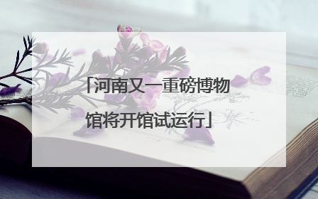 河南又一重磅博物馆将开馆试运行