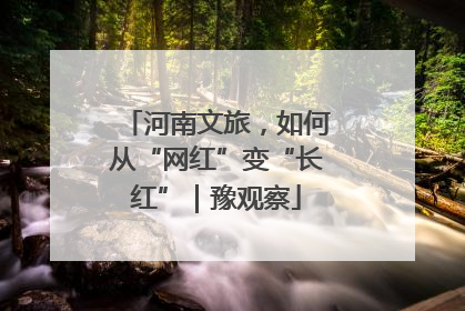 河南文旅，如何从“网红”变“长红”｜豫观察
