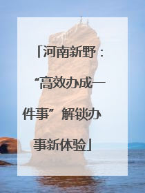 河南新野：“高效办成一件事”解锁办事新体验