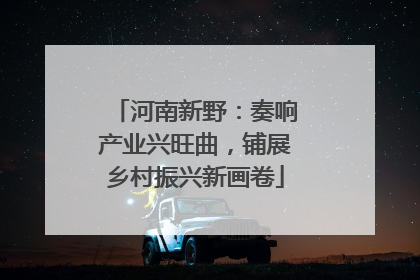 河南新野：奏响产业兴旺曲，铺展乡村振兴新画卷