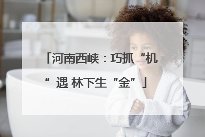 河南西峡：巧抓“机”遇 林下生“金”