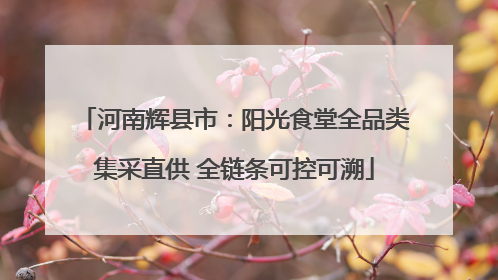 河南辉县市：阳光食堂全品类集采直供 全链条可控可溯