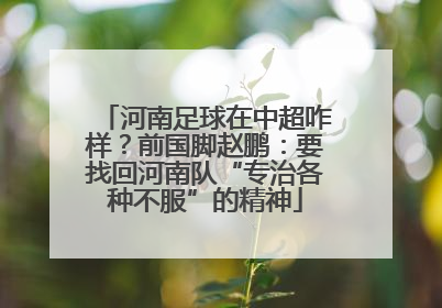 河南足球在中超咋样？前国脚赵鹏：要找回河南队“专治各种不服”的精神
