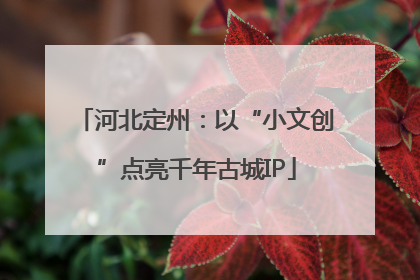 河北定州：以“小文创”点亮千年古城IP