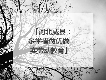 河北威县：多举措做优做实劳动教育