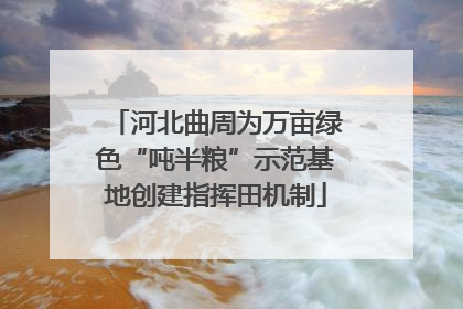 河北曲周为万亩绿色“吨半粮”示范基地创建指挥田机制