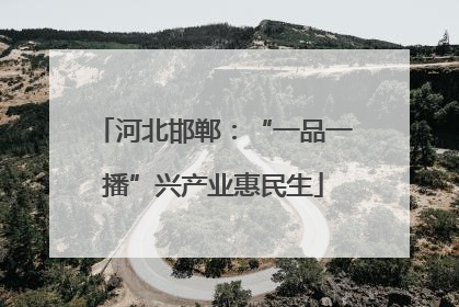 河北邯郸：“一品一播”兴产业惠民生
