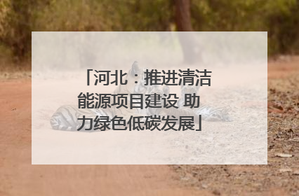 河北：推进清洁能源项目建设 助力绿色低碳发展