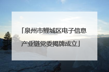 泉州市鲤城区电子信息产业链党委揭牌成立