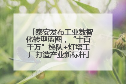 泰安发布工业数智化转型蓝图，“十百千万”梯队+灯塔工厂打造产业新标杆