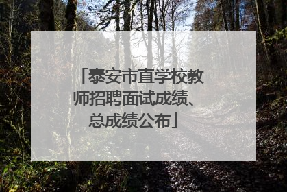 泰安市直学校教师招聘面试成绩、总成绩公布
