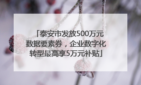 泰安市发放500万元数据要素券，企业数字化转型最高享5万元补贴