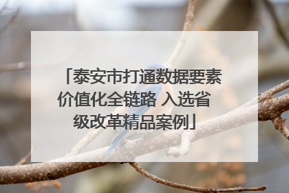 泰安市打通数据要素价值化全链路 入选省级改革精品案例