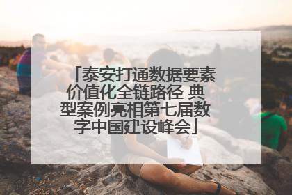 泰安打通数据要素价值化全链路径 典型案例亮相第七届数字中国建设峰会