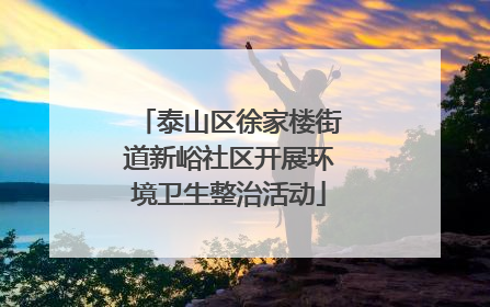 泰山区徐家楼街道新峪社区开展环境卫生整治活动