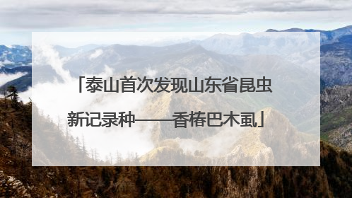 泰山首次发现山东省昆虫新记录种——香椿巴木虱