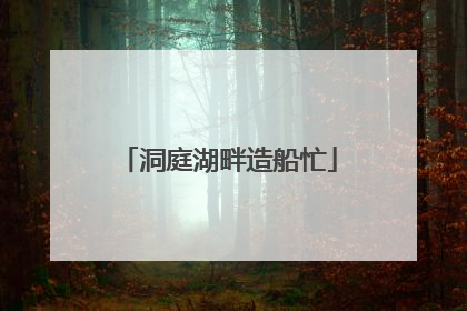 洞庭湖畔造船忙