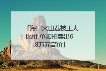 海口火山荔枝王大比拼 单颗拍卖出6.8万元高价