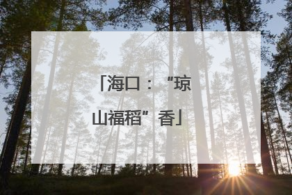 海口：“琼山福稻”香