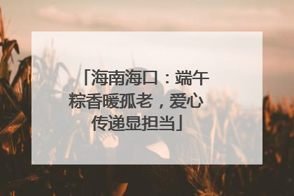 海南海口：端午粽香暖孤老，爱心传递显担当