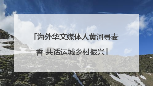 海外华文媒体人黄河寻麦香 共话运城乡村振兴