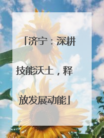 济宁：深耕技能沃土，释放发展动能
