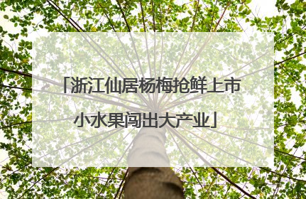 浙江仙居杨梅抢鲜上市 小水果闯出大产业
