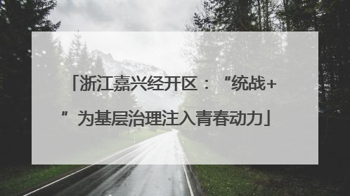 浙江嘉兴经开区：“统战+”为基层治理注入青春动力