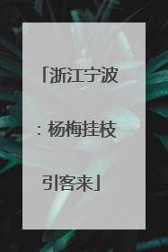 浙江宁波：杨梅挂枝引客来