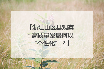 浙江山区县观察：高质量发展何以“个性化”？