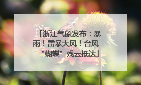 浙江气象发布：暴雨！雷暴大风！台风“蝴蝶”残云抵达