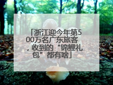 浙江迎今年第500万名广东旅客，收到的“锦鲤礼包”都有啥