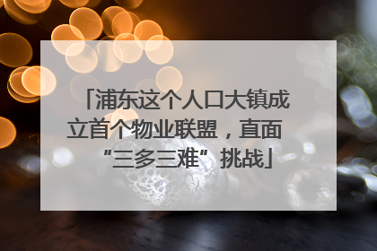 浦东这个人口大镇成立首个物业联盟，直面“三多三难”挑战