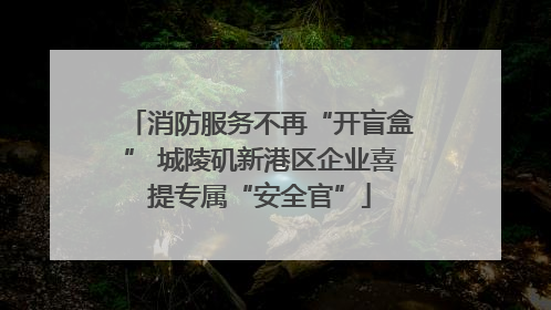 消防服务不再“开盲盒” 城陵矶新港区企业喜提专属“安全官”