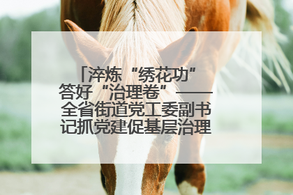 淬炼“绣花功” 答好“治理卷”——全省街道党工委副书记抓党建促基层治理培训示范班侧记