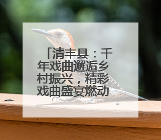 清丰县：千年戏曲邂逅乡村振兴，精彩戏曲盛宴燃动夏日