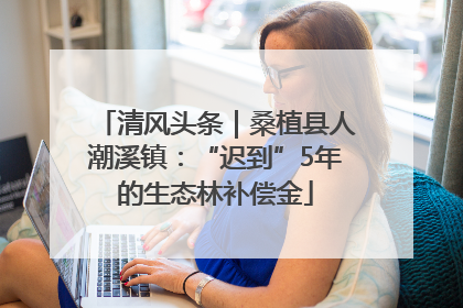 清风头条｜桑植县人潮溪镇：“迟到”5年的生态林补偿金