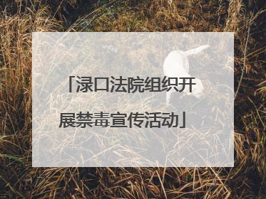渌口法院组织开展禁毒宣传活动