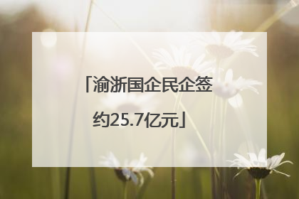 渝浙国企民企签约25.7亿元