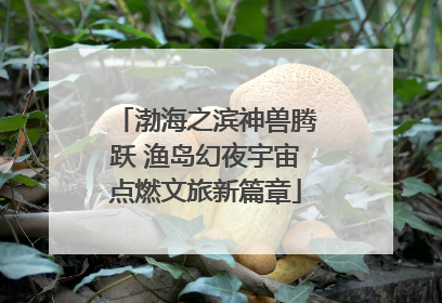 渤海之滨神兽腾跃 渔岛幻夜宇宙点燃文旅新篇章