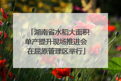湖南省水稻大面积单产提升现场推进会在屈原管理区举行