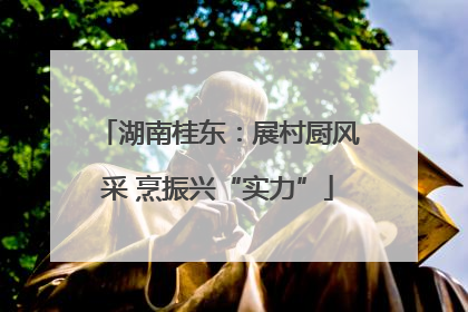 湖南桂东：展村厨风采 烹振兴“实力”