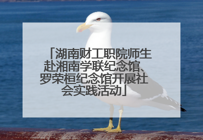 湖南财工职院师生赴湘南学联纪念馆、罗荣桓纪念馆开展社会实践活动