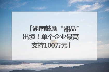 湖南鼓励“湘品”出境！单个企业最高支持100万元