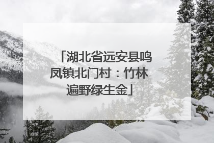 湖北省远安县鸣凤镇北门村：竹林遍野绿生金